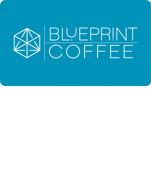 Escali Versi Coffee & Tea Scale — Blueprint Coffee