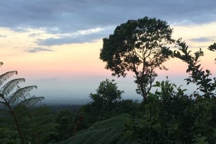 a serene sunset at finca esperanza in cerro pecul, guatemala