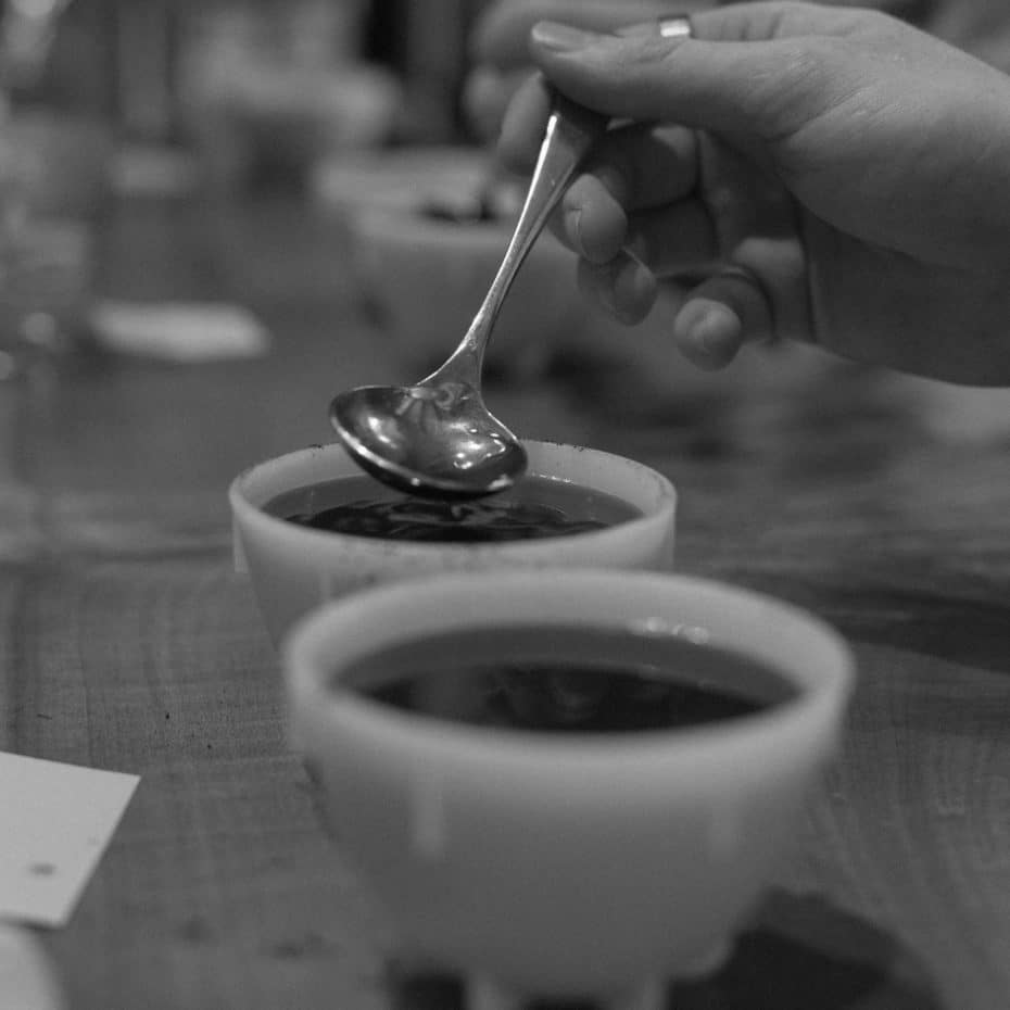 A sample of coffee is gathered in a spoon for taste evaluation during a cupping.
