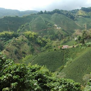 The origin profile explores coffee production in Colombia.