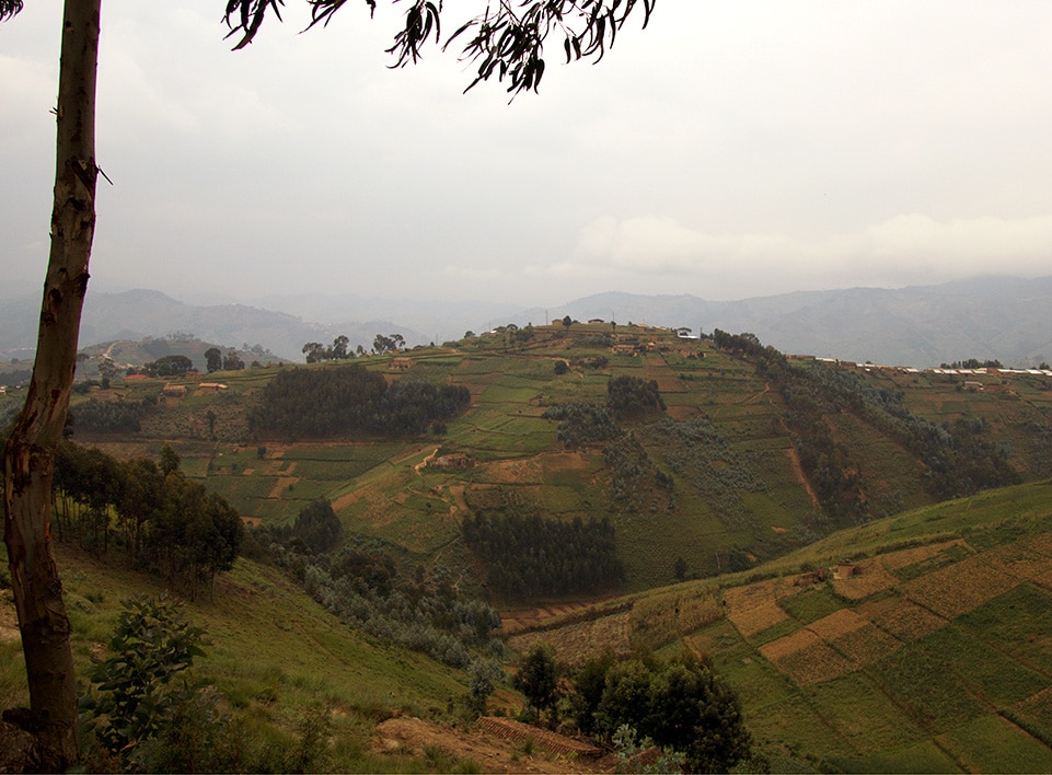 Rwanda is often referred to as the land of a thousand hills.
