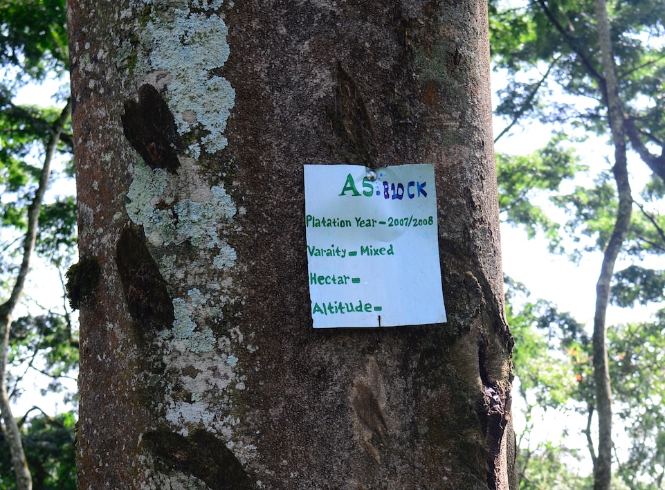 A sign on a tree that reads, "A5:B10CK"