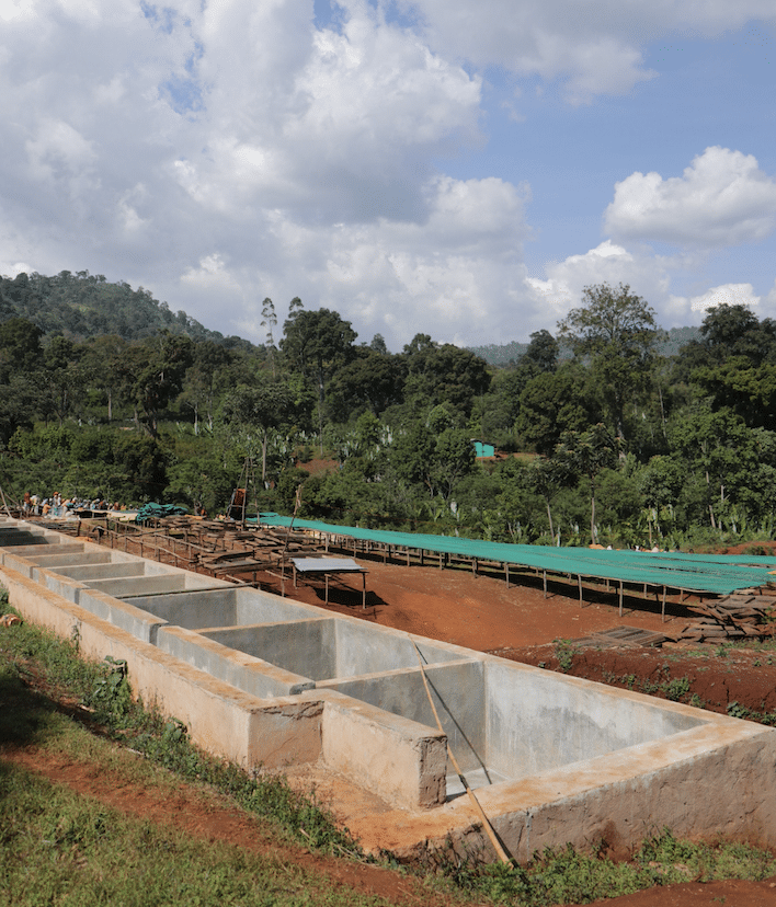 Coffee washing stations at Worka Chelbessa in Ethiopia.