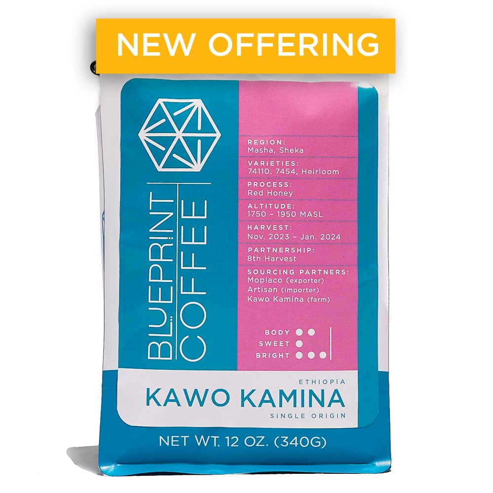 A 12-ounce bag of coffee beans bearing the Blueprint Coffee logo in blue on the left and information about the coffee on the right. The bag is titled Kawo Kamina.