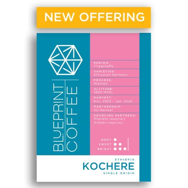A 12-ounce bag of Kochere, Ethiopia coffee beans. It features the Blueprint Coffee logo on the left half and coffee details in pink on the right half.