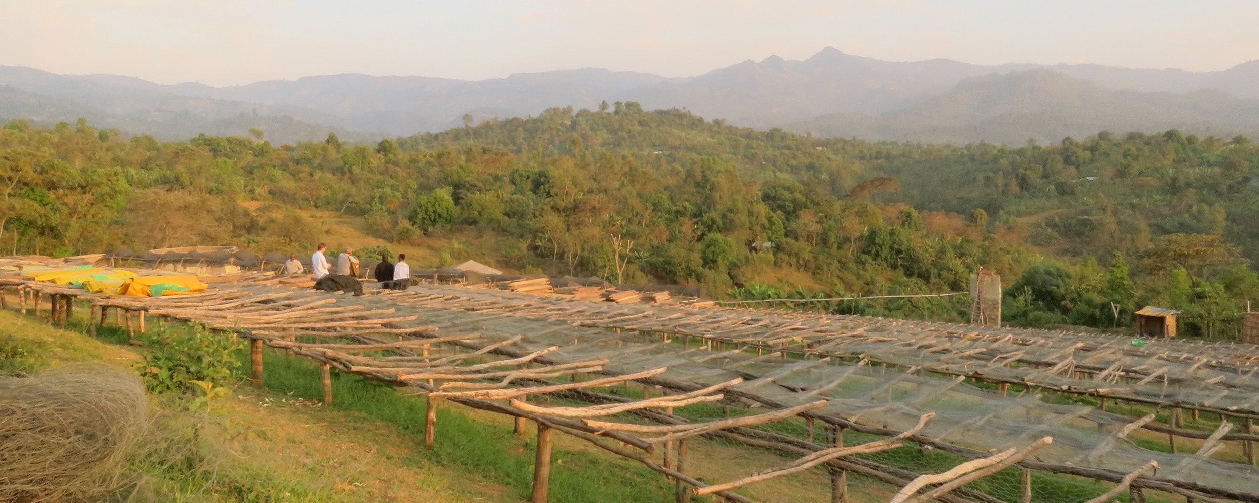 From Ethiopia, pt. 3: Into the field