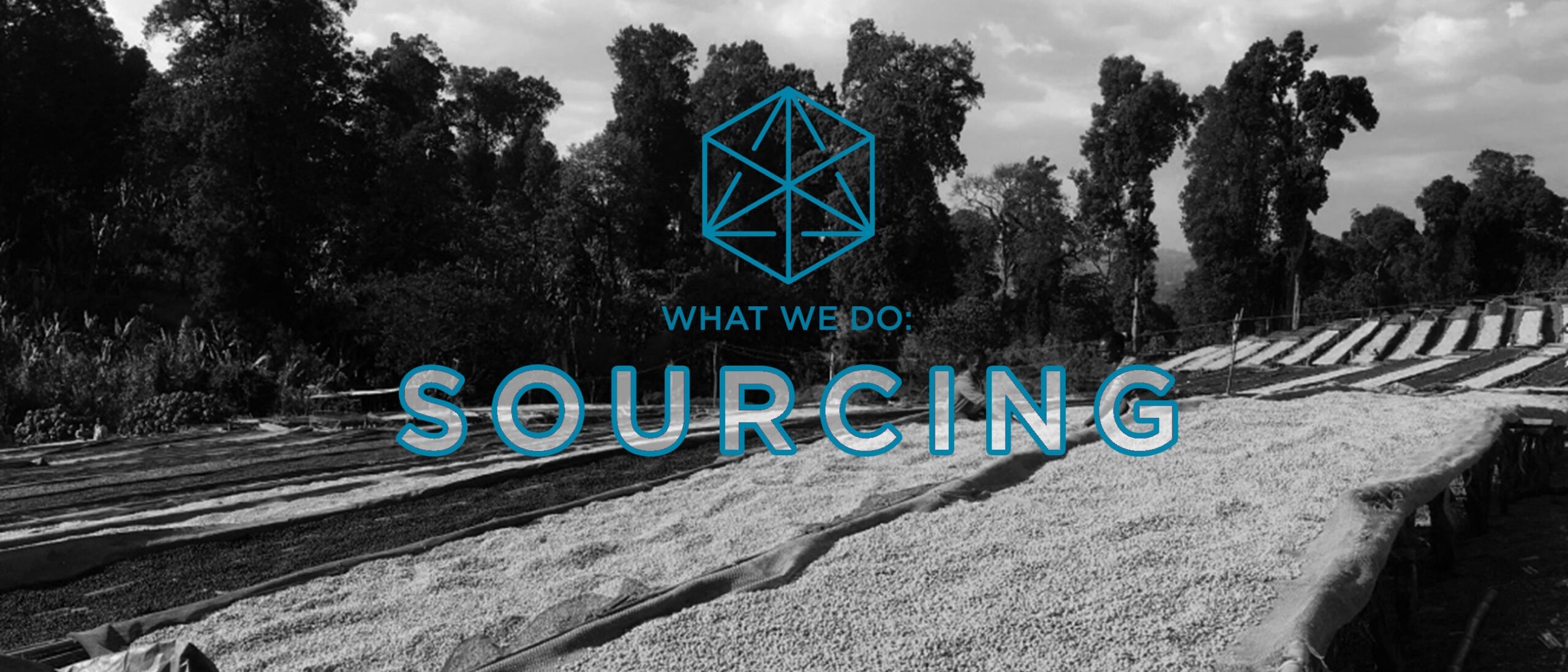 Coffee Sourcing is the subject of our first blog in the series, "What We Do."