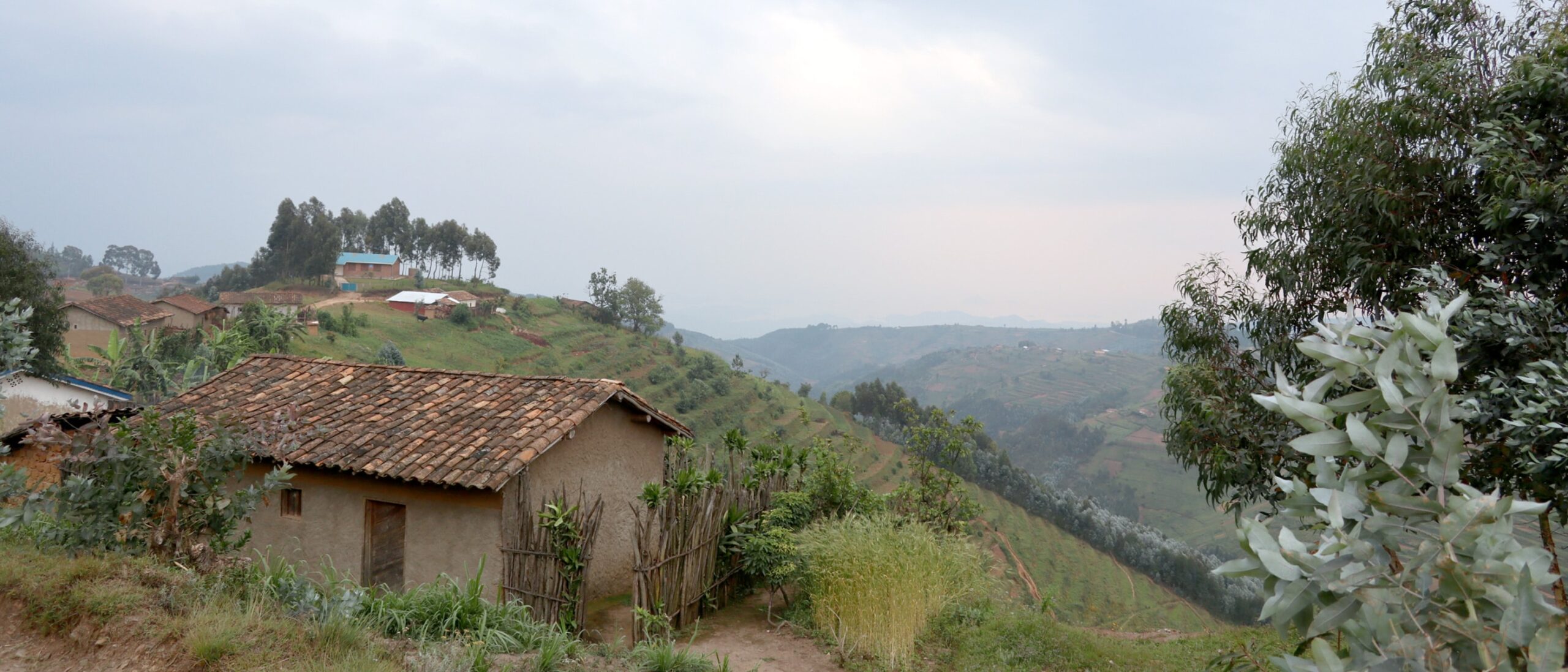 Our perspective for sourcing coffee from Rwanda
