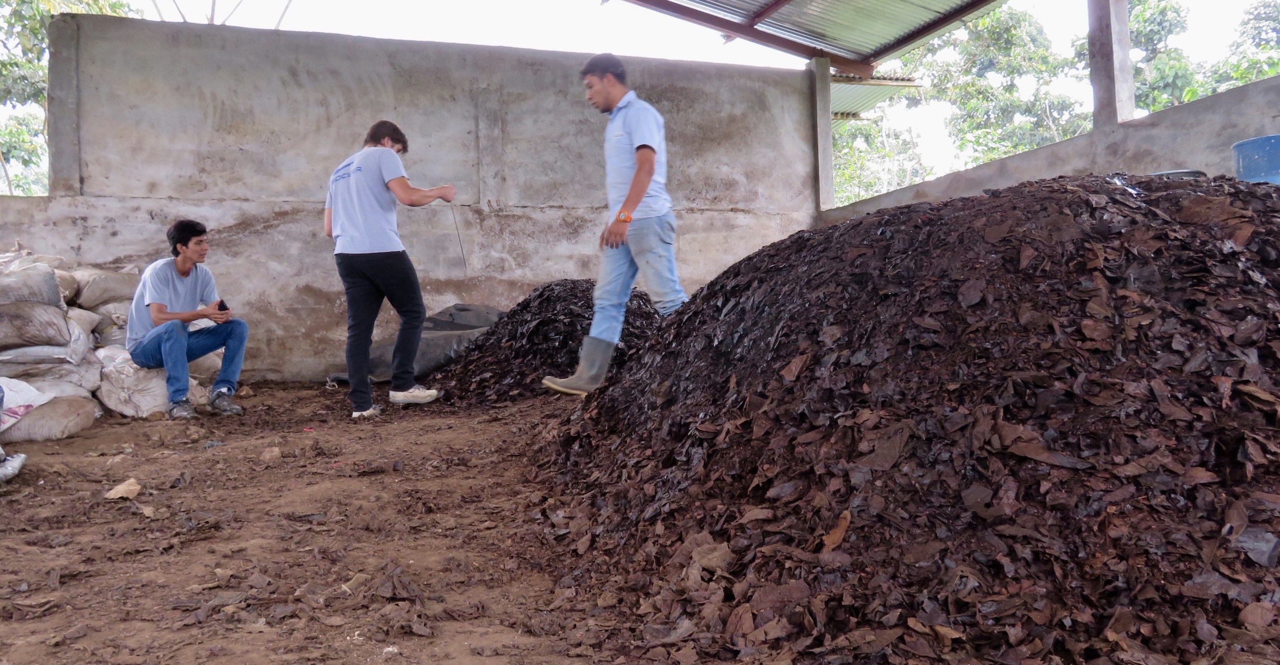 Coffee farmers stand next to their composting pile.