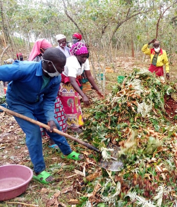 Building a compost pile at the Ejo Heza sub-cooperative. People working on a coffee farm use shovels to add material to a compost pile.