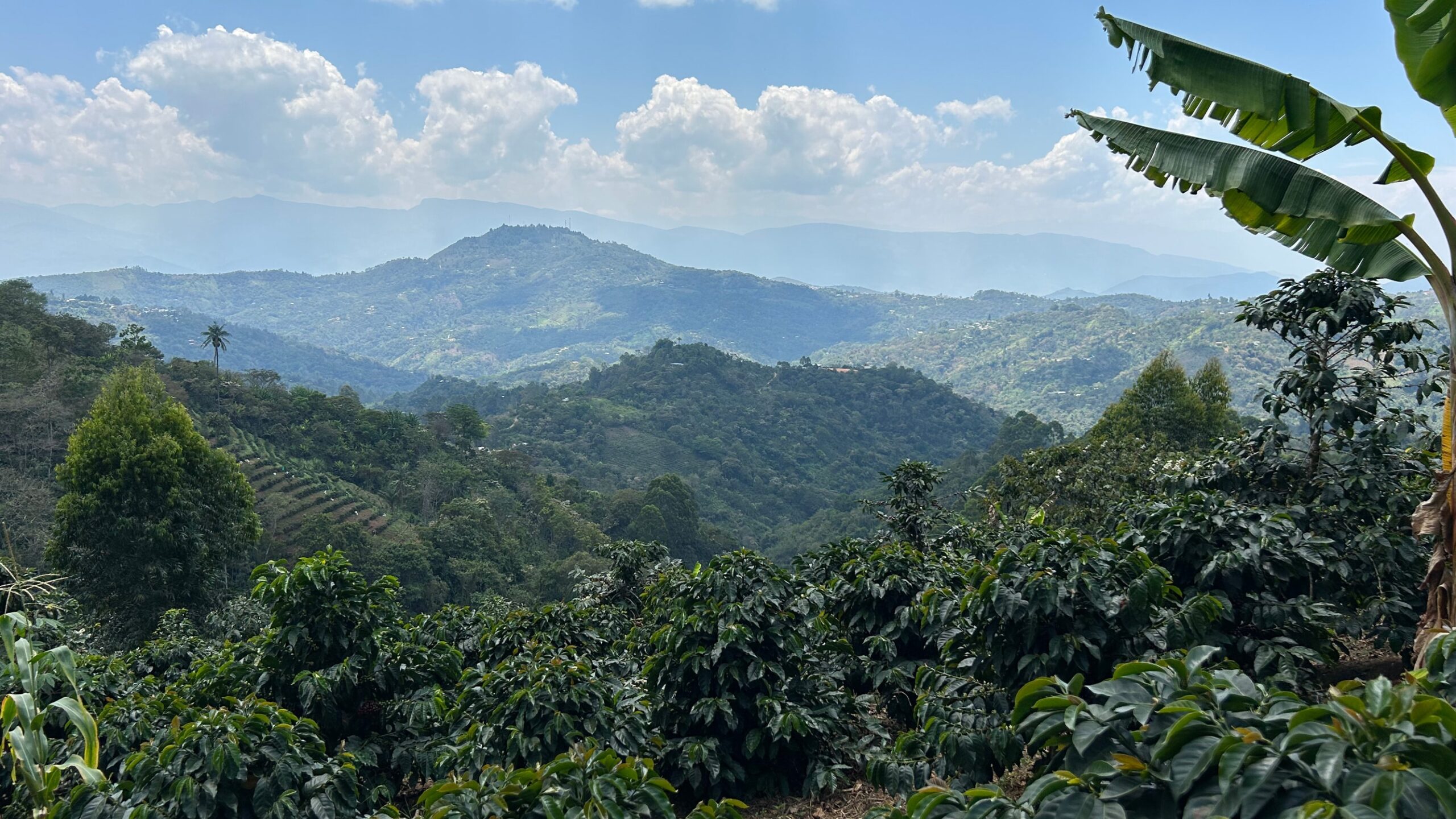 Origin Deep Dive: Peru