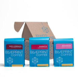 Three sample bags of Blueprint Coffee in front of a cardboard sampler box decorated with the Blueprint Coffee logo.