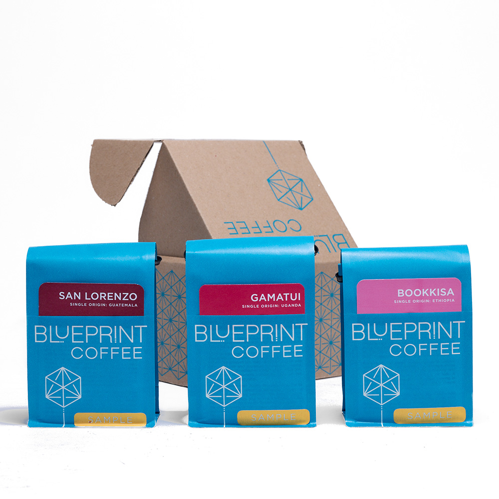 Three sample bags of Blueprint Coffee in front of a cardboard sampler box decorated with the Blueprint Coffee logo.