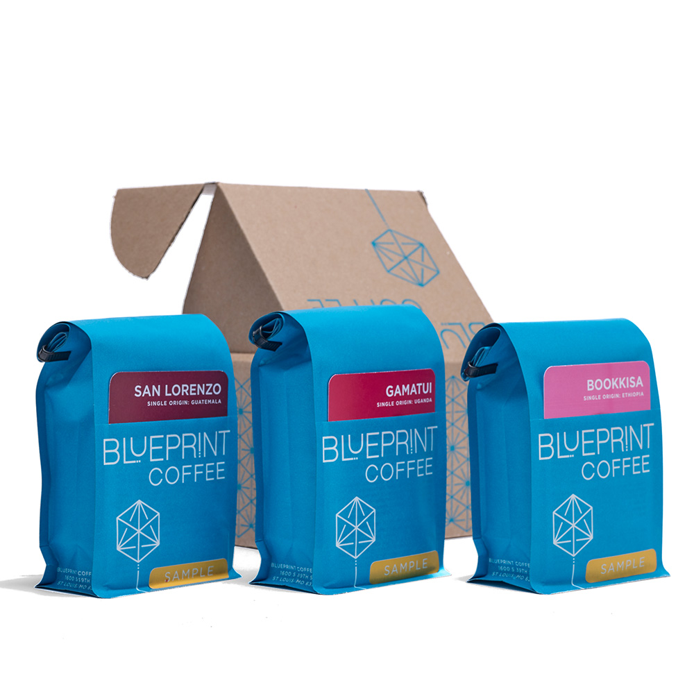 Three sample bags of Blueprint Coffee in front of a cardboard sampler box decorated with the Blueprint Coffee logo.