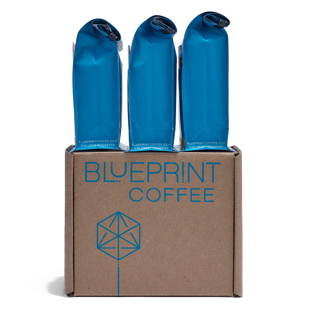 Three sample bags of Blueprint Coffee in front of a cardboard sampler box decorated with the Blueprint Coffee logo.