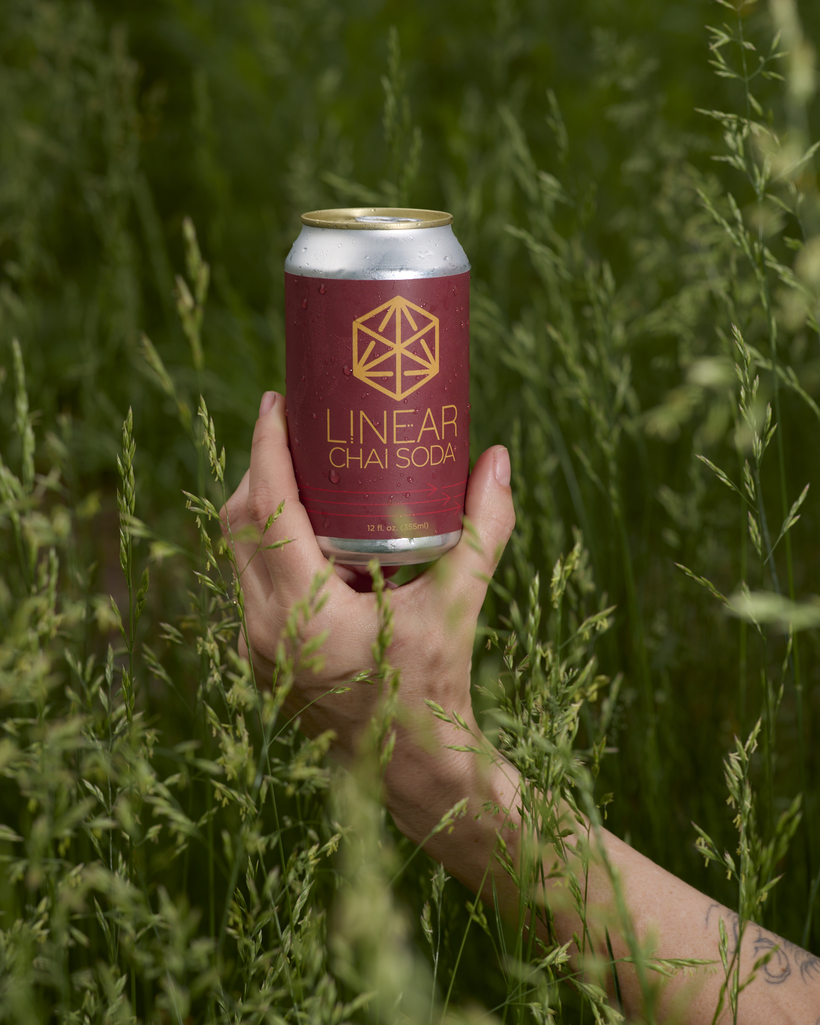 A person's hand holds up a dark red can of Linear Chai Soda among a green field of tall plants