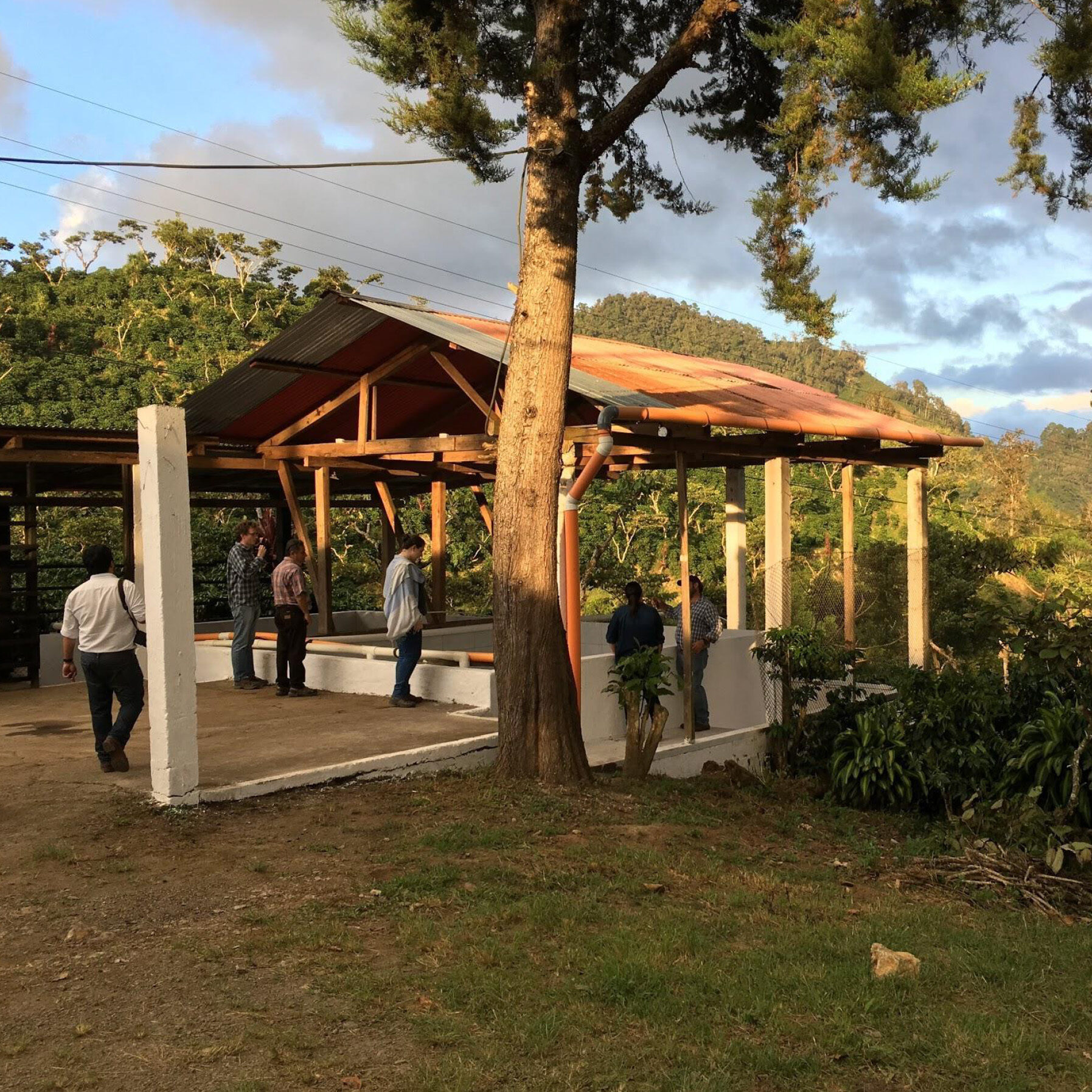 Farm workers at Finca San Lorenzo in Guatemala