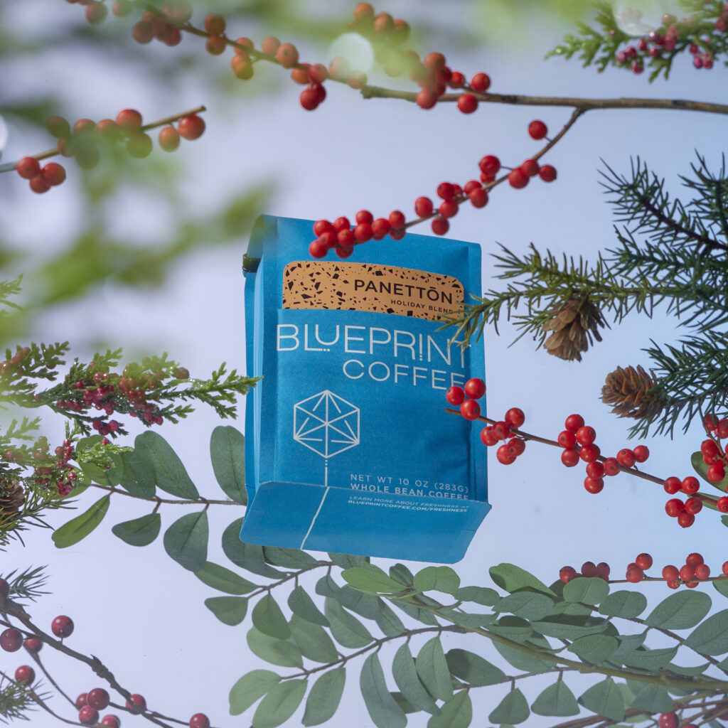 A blue 10 oz bag of Panettōn Holiday Blend is arranged with boughs of pine and red berries over a light blue background