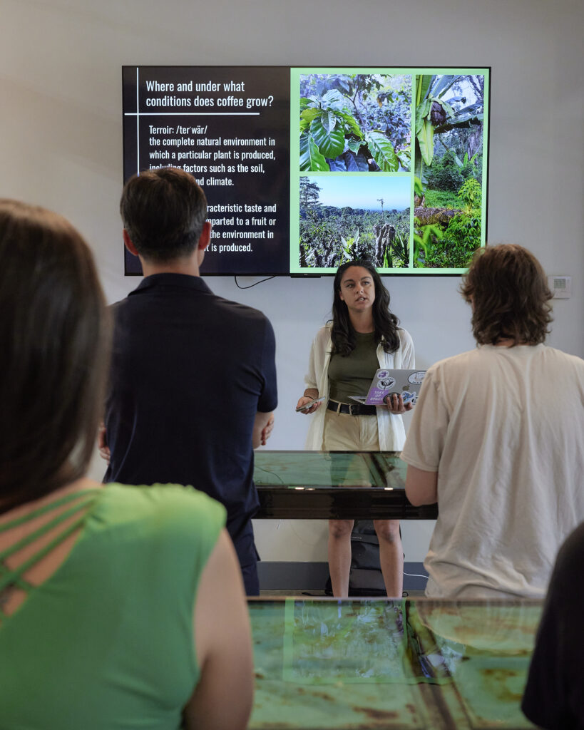 Ashley stands in front of a TV screen showing an informational slide as she teaches a coffee class at Blueprint HQ. Four students are seen from behind, facing Ashley as she presents.