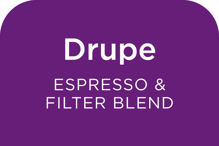Drupe (filter & espresso blend) — vibrant purple