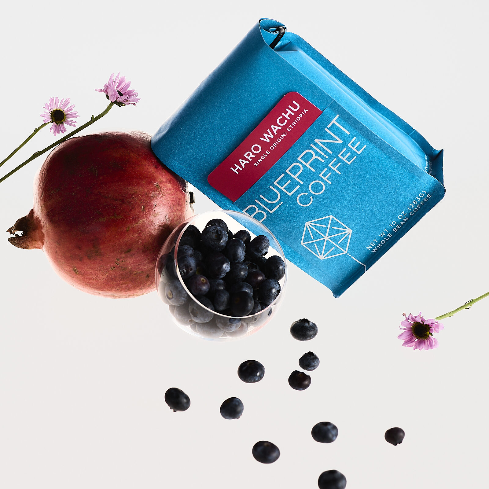 A bright blue bag of Blueprint Coffee beans with a removable red info card reading Haro Wachu, Ethiopia floats among an arrangement of blueberries, pomegranate, and pink flowers