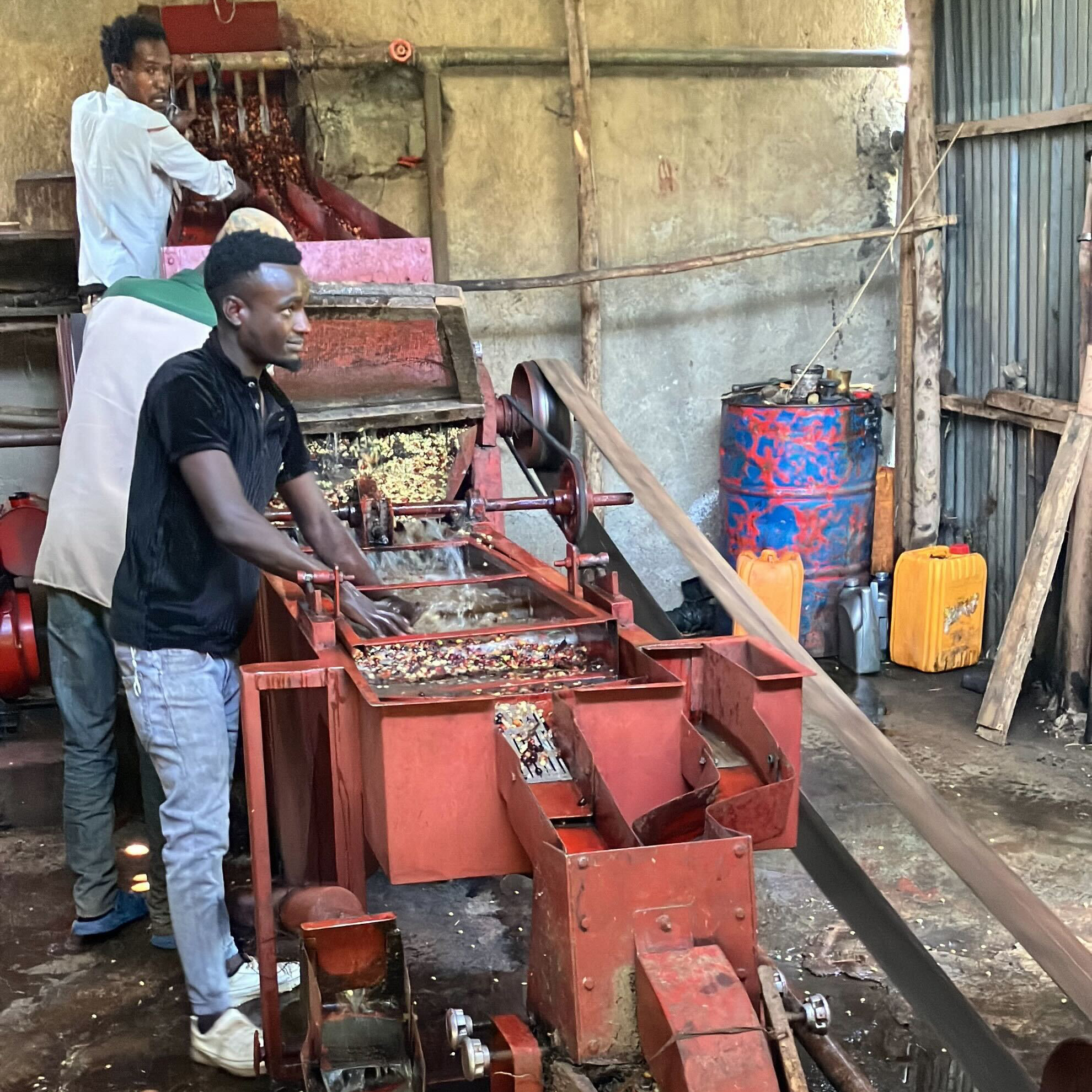 Station workers wash coffee cherries in running water which flows through an orange machine.