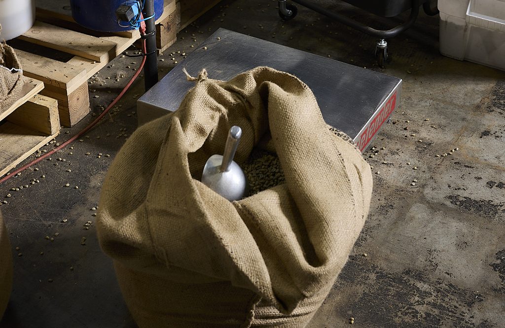 A silver metal scoop sticks out of an open burlap bag of green coffee in Blueprint Coffee's roasting room